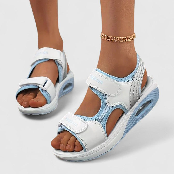 White/Blue / 12