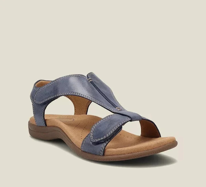 Navy Blue / US 11