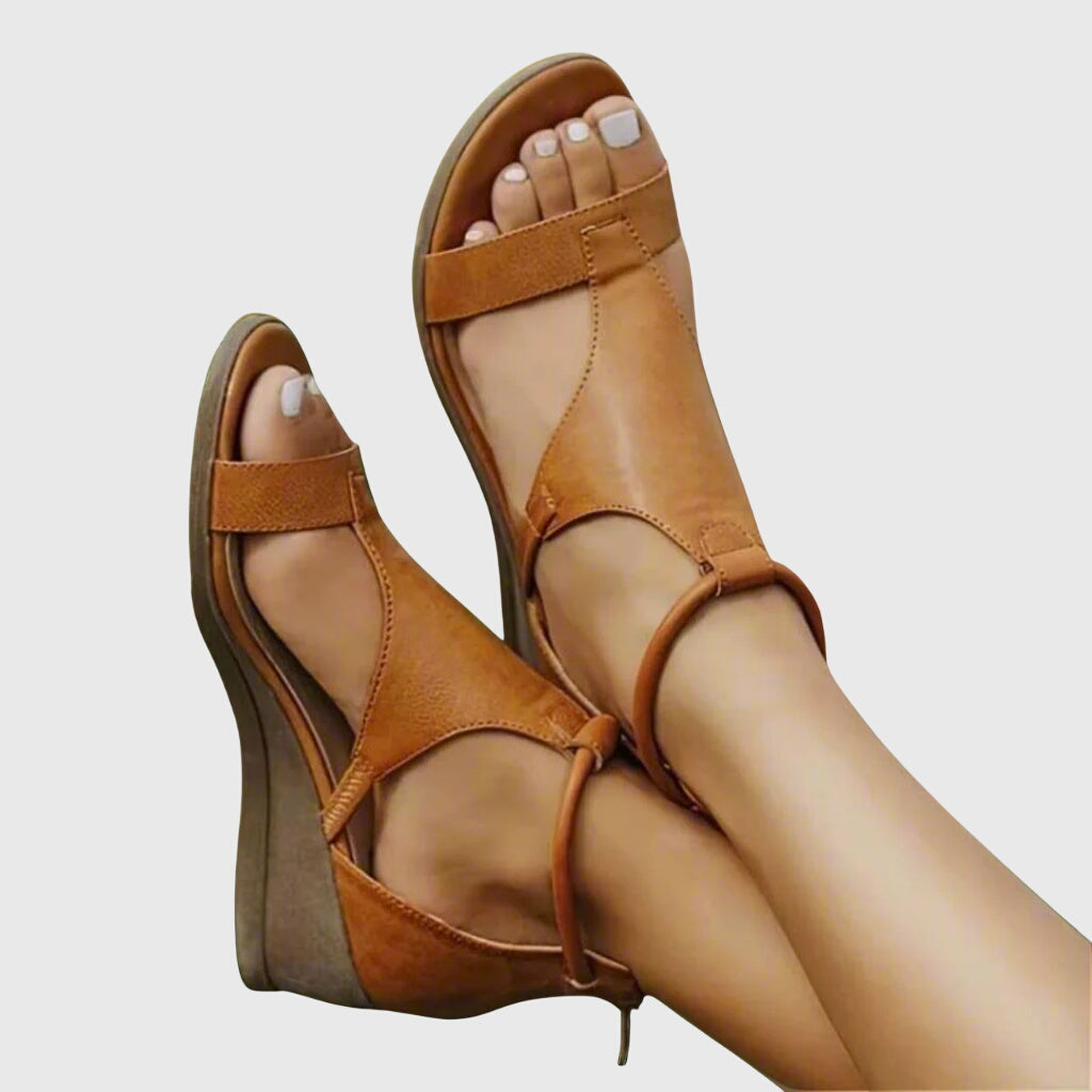 Brown / 12